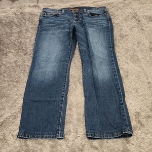 Joe's Jeans "The Brixton" Men's Straight Blue Denim Size 33!